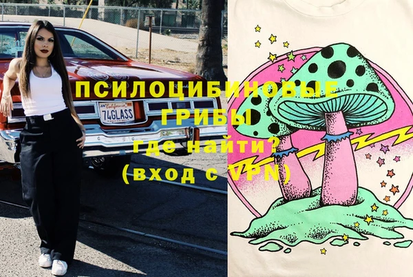 твердый Медвежьегорск