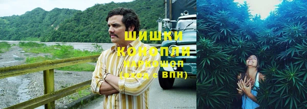 стаф Магадан